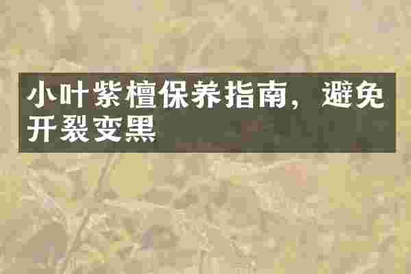 小叶紫檀保养指南，避免开裂变黑