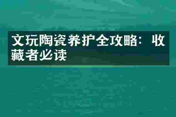 文玩陶瓷养护全攻略：收藏者必读