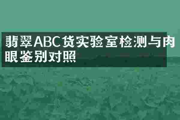 翡翠ABC货实验室检测与肉眼鉴别对照