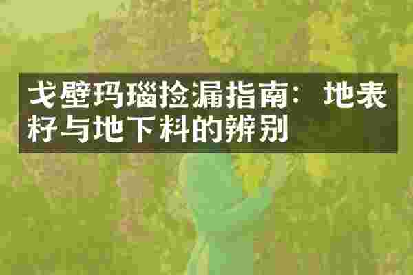 戈壁玛瑙捡漏指南：地表籽与地下料的辨别