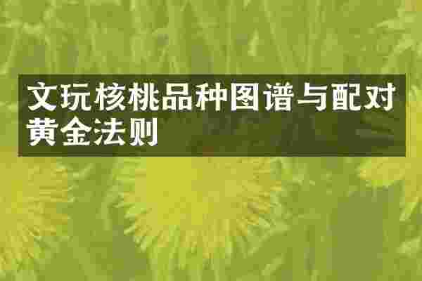 文玩核桃品种图谱与配对黄金法则