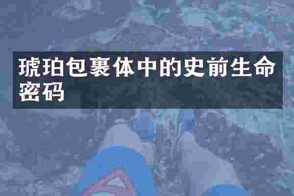 琥珀包裹体中的史前生命密码