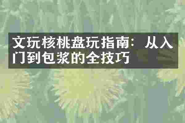 文玩核桃盘玩指南：从入门到包浆的全技巧