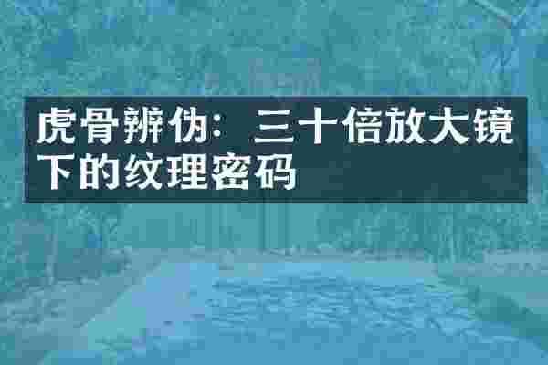 虎骨辨伪：三十倍放大镜下的纹理密码