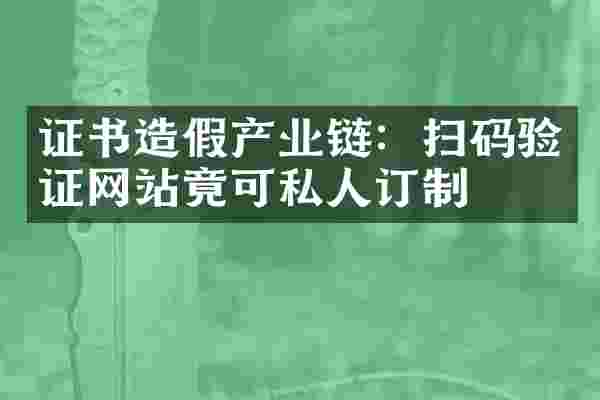 证书造假产业链：扫码验证网站竟可私人订制