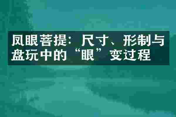 凤眼菩提：尺寸、形制与盘的“眼”变过程