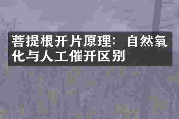 菩提根开片原理：自然氧化与人工催开区别