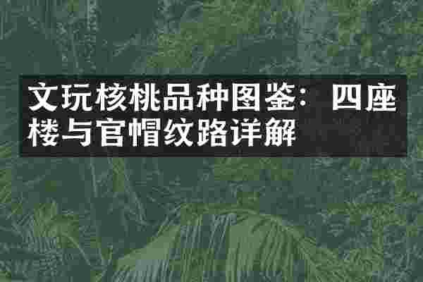 文玩核桃品种图鉴：四座楼与官帽纹路详解
