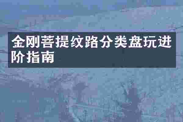 金刚菩提纹路分类盘玩进阶指南