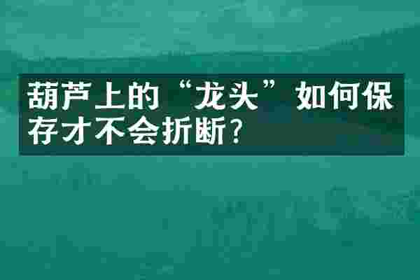 葫芦上的&ldquo;龙头&rdquo;如何保存才不会折断？