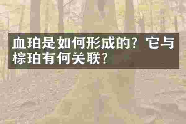 血珀是如何形成的？它与棕珀有何关联？