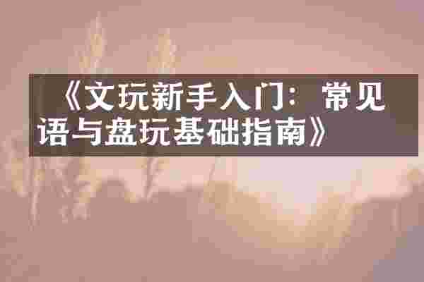  《文玩新手入门：常见术语与盘玩基础指南》