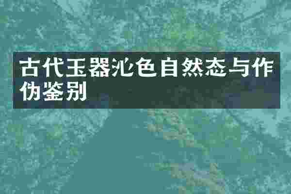古代玉器沁色自然态与作伪鉴别