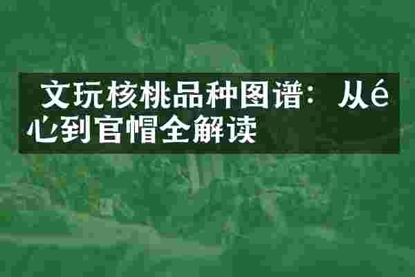  文玩核桃品种图谱：从鸡心到官帽全解读