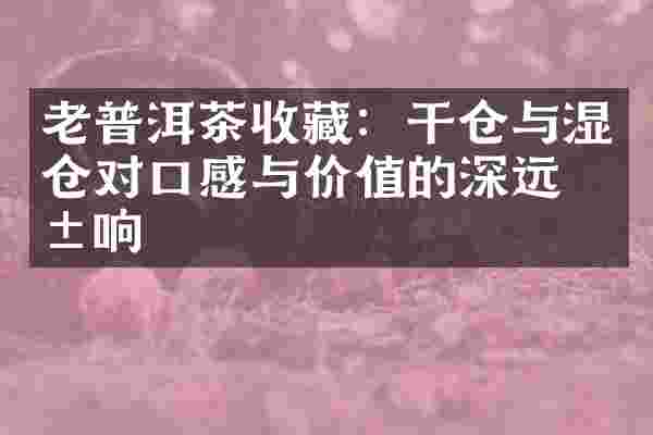 老普洱茶收藏：干仓与湿仓对口感与价值的深远影响