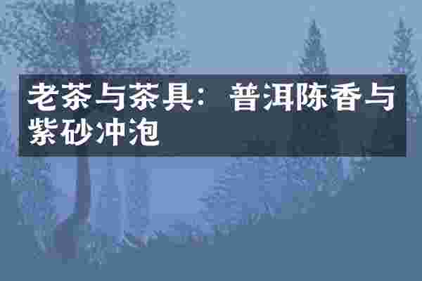 老茶与茶具：普洱陈香与紫砂冲泡