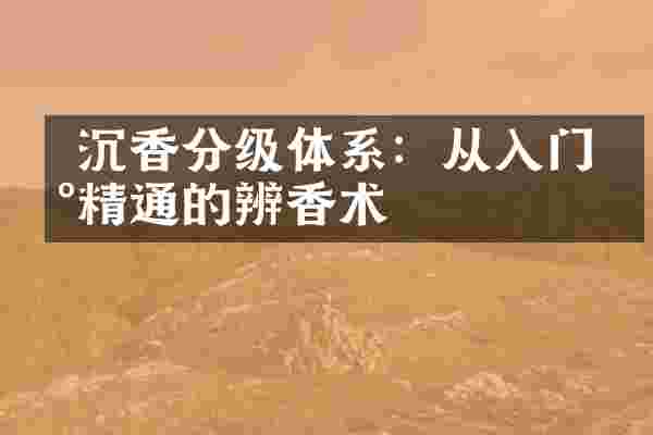  沉香分级体系：从入门到精通的辨香术