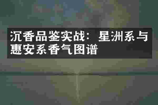 沉香品鉴实战：星洲系与惠安系香气图谱