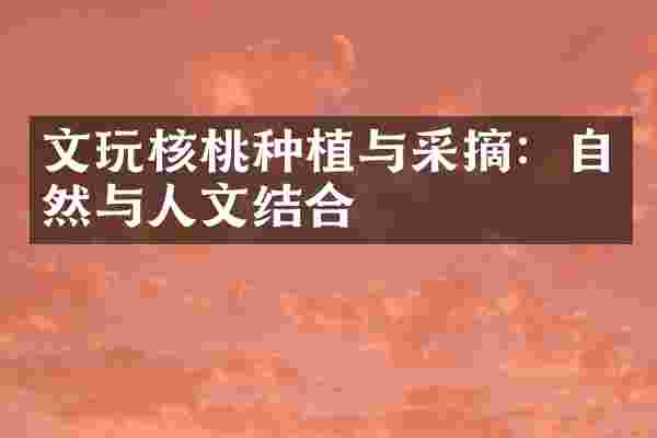 文玩核桃种植与采摘：自然与人文结合