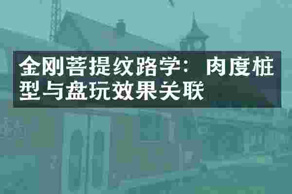 金刚菩提纹路学：肉度桩型与盘玩效果关联