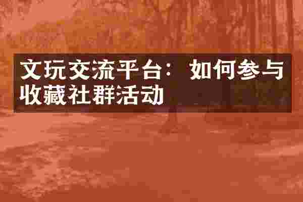 文玩交流平台：如何参与收藏社群活动
