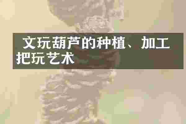  文玩葫芦的种植、加工与把玩艺术
