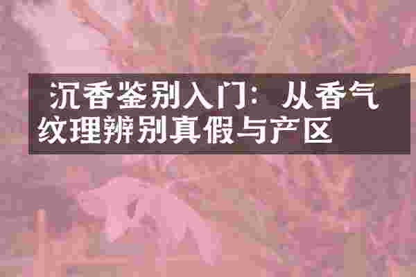  沉香鉴别入门：从香气、纹理辨别真假与产区