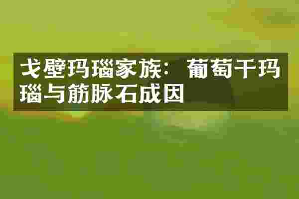 戈壁玛瑙家族:葡萄干玛瑙与筋脉石成因