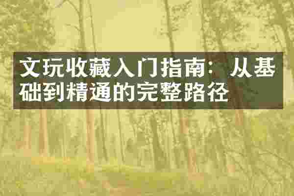 文玩收藏入门指南：从基础到精通的完整路径