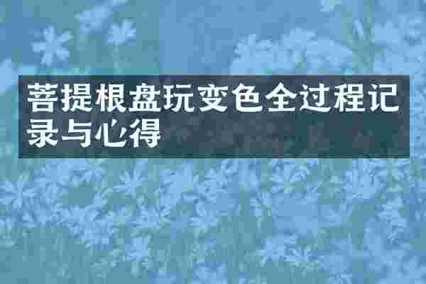菩提根盘玩变色全过程记录与心得