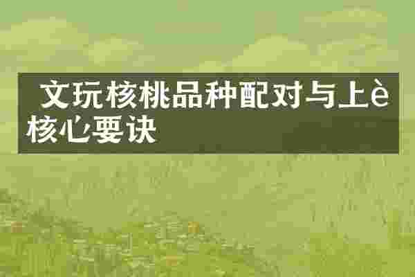 文玩核桃品种配对与上色核心要诀