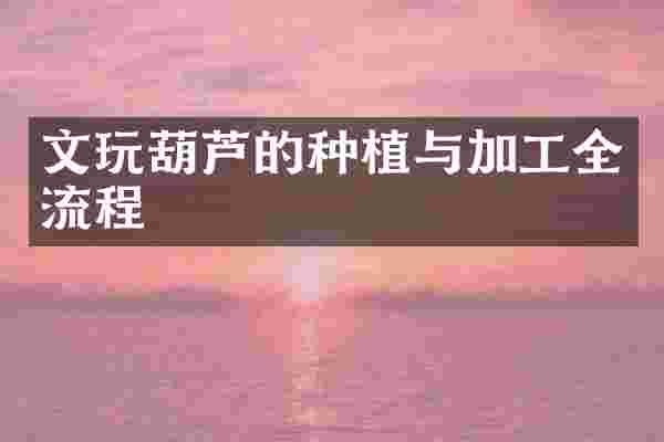 文玩葫芦的种植与加工全流程