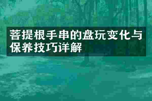 菩提根手串的盘玩变化与保养技巧详解
