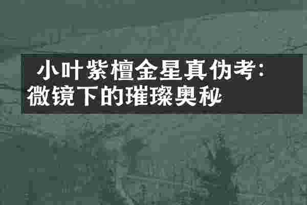  小叶紫檀金星真伪考：显微镜下的璀璨奥秘