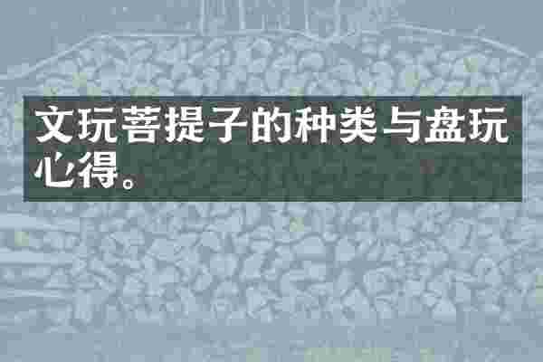 文玩菩提子的种类与盘玩心得。