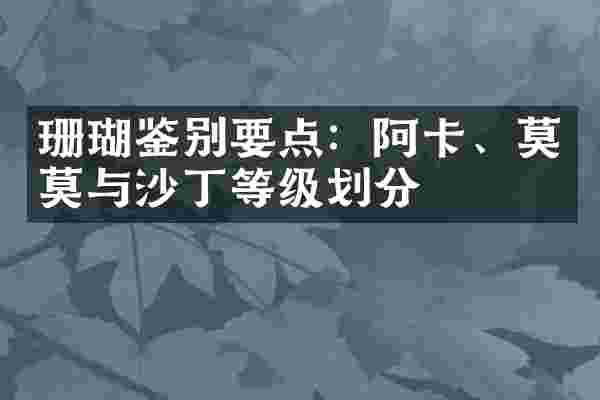 珊瑚鉴别要点：阿卡、莫莫与沙丁等级划分