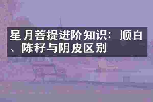 星月菩提进阶知识：顺白、陈籽与阴皮区别