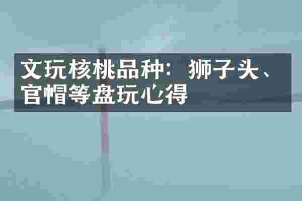 文玩核桃品种：狮子头、官帽等盘玩心得